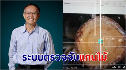 นักวิจัย ม.วลัยลักษณ์ พัฒนาระบบตรวจจับแกนไม้อัตโนมัติ แม่นยำ 100% นำใช้แปรรูปไม้ยางพาราไทยเป็นครั้งแรก