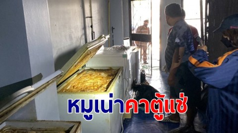 เพื่อนบ้านสงสัย เพิ่งย้ายมา 7 วัน ได้กลิ่นเน่าคลุ้ง แจ้งตร.ไปดู พบหมูเน่าคาตู้แช่