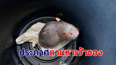 เจ้าของร้านกาแฟ ประกาศตามหาเจ้าของตัวอ้น ราคา 4 หมื่น