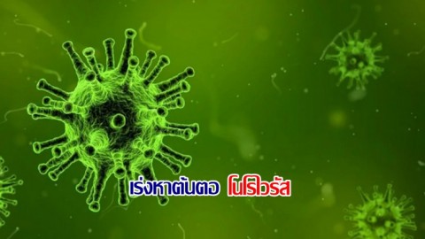 กรมควบคุมโรค เร่งหาต้นตอ ทำนักเรียนชัยภูมิ ติดเชื้อ "โนโรไวรัส"