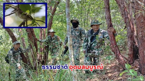 ขหล.เขาปะช้าง แหลมขาม เผย ลาดตระเวนเชิงคุณภาพ พบธรรมชาติสมบูรณ์ !