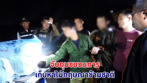 จับกุมขบวนการ เก็บหาไม้กฤษณาข้ามชาติ ในพื้นที่เขตรักษาพันธุ์สัตว์ป่าภูเขียว หลังติดตามเกือบ 2 เดือน