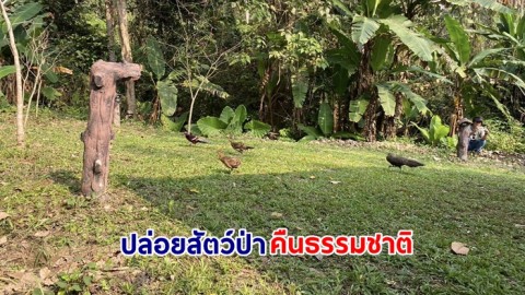 อุทยานแห่งชาติดอยผ้าห่มปก ปล่อยสัตว์ป่าคืนธรรมชาติ ส่งสัตว์ป่าคืนวนา เพื่อป่าสมบูรณ์