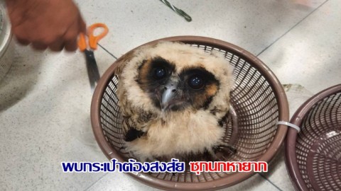 จนท. ตรวจพบกระเป๋าต้องสงสัย ซุกนกหายาก ปลายทาง มัลดีฟส์