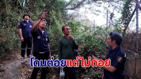 โดนต่อยแต่ไม่ถอย! กู้ภัยสู้ชีวิตปีนหลังคากำจัดรังต่อหัวเสือ ข้างบ้านชาวบ้าน หวั่นเกิดอันตราย 