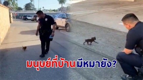 "ตำรวจ" เจอลูกสุนัขจรจัดเดินตาม สุดท้ายใจอ่อนอุ้มขึ้นรถเอากลับไปเลี้ยง !