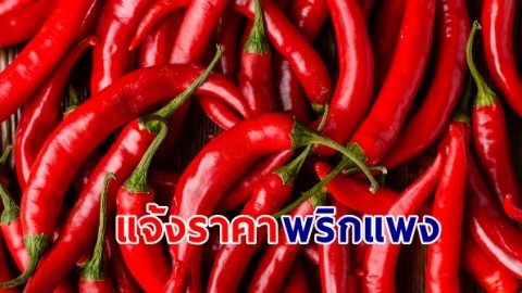 กรมการค้าภายใน แจงกรณีข่าวราคาพริก ในพื้นที่จังหวัดขอนแก่น ปรับตัวสูงขึ้น