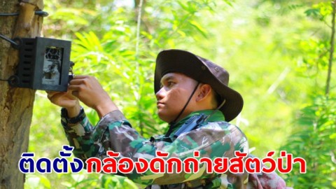 เขตห้ามล่าสัตว์ป่าเขาแผงม้า ติดตั้งกล้อง Camera Trap ดักถ่ายสัตว์ป่าเพื่อดูความหลากหลายของชนิดสัตว์ป่า ในพื้นที่
