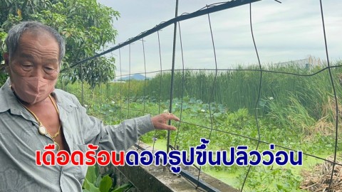 ชาวบ้านทุกข์หนัก ป่าดอกธูปขึ้นปลิวติดตามตัวเสื้อผ้า-เข้าจมูก วอนช่วยเหลือ