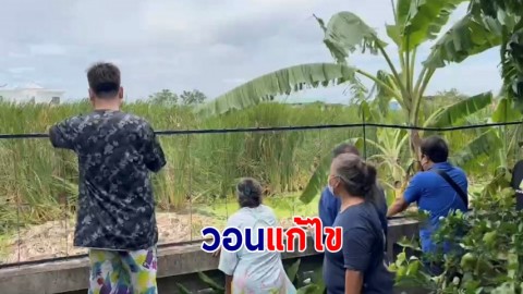 ชาวบ้านร้อง "ป่าดอกธูป" ปลิวว่อน ติดเสื้อผ้า-เข้าจมูก มีอาการคัน วอนแก้ไข