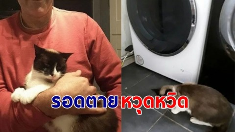 "เจ้าแมว" แอบไปนอนในเครื่องซักผ้า ถูกเจ้าของปั่นไป 10 นาที โชคดีรอดตายหวุดหวิด !