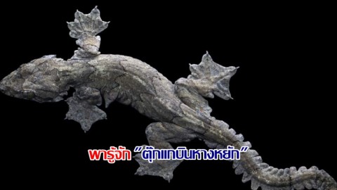 สุดทึ่ง "ตุ๊กแกบินหางหยัก" สัตว์ป่าคุ้มครอง ชอบซ่อนตัวแนบกับเปลือกไม้