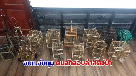 จนท.จับกุมคนลักลอบล่าสัตว์ป่าคุ้มครองจำพวก "นก"  พบของกลางจำนวนมาก