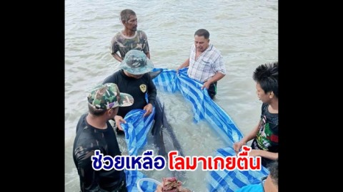 อุทยานแห่งชาติอ่าวพังงา ช่วยเหลือโลมาเกยตื้น บริเวณหาดแหลมไทร หมู่ 5 เกาะยาวน้อย