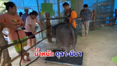 อัพเดทน้ำหนัก น้องตุลา - น้องมีนา อุดมสมบูรณ์แข็งแรง 