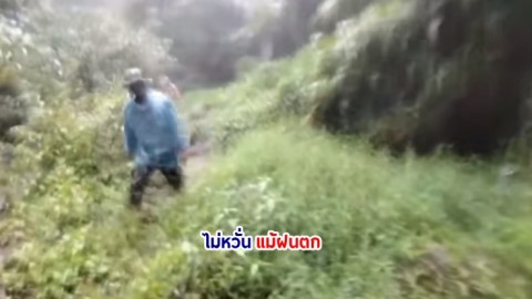 เผยคลิป เจ้าหน้าที่พิทักษ์ป่า ลุยลาดตระเวณแม้เจอฝนตกหนัก