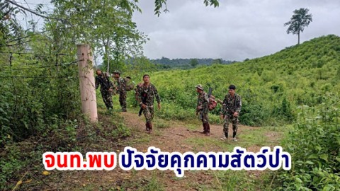 ภารกิจผู้พิทักษ์ เขตรักษาพันธุ์สัตว์ป่าเขาอ่างฤาไน ล่าสุดพบปัจจัยคุกคาม 