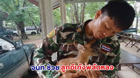 พลเมืองดีแจ้งสายด่วน ให้ช่วยชีวิตลูกอีเก้งพลัดหลง ล่าสุดส่งมอบให้ศูนย์ช่วยเหลือสัตว์ป่าดูแลต่อ