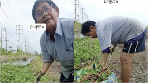 ชื่นชม คุณป้าสู้ชีวิต ใส่แขนเทียมเก็บผักบุ้งขาย เผยอยู่ตัวคนเดียว หาเงินจ่ายค่าห้อง