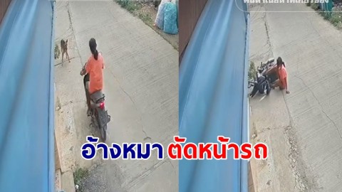 "สาว" เตือนภัย เจอคนอ้าง หมาตัดหน้าทำให้รถล้ม หวังเรียกเงิน พอบอกมีกล้องรีบขี่หนีหาย !