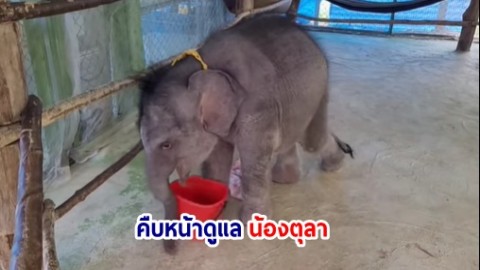 คืบหน้าอาการ น้องตุลา ยังมีอาการหวาดระแวงต่อสภาพแวดล้อมและบุคคล