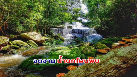 งดงาม น้ำตกโผนพบ  ระดับ 8 ชั้น สูงประมาณ 30 เมตร ณ อุทยานแห่งชาติภูกระดึง 