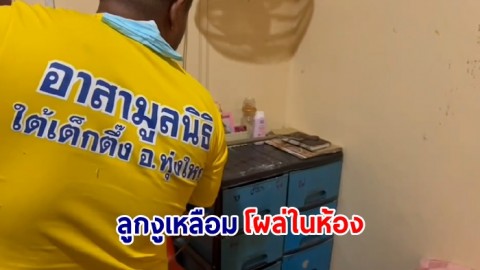 สาววัย 22 ผวา! ลูกงูเหลือมนอนแน่นิ่งบนสมุดในห้องนอน