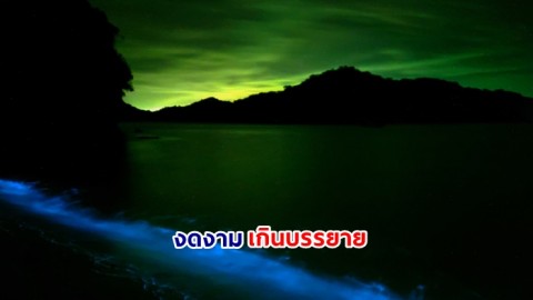ชวนชมดาวเกลื่อนฟ้า ชมทะเลเรืองแสง ที่เกาะวัวตาหลับ อุทยานแห่งชาติหมู่เกาะอ่างทอง