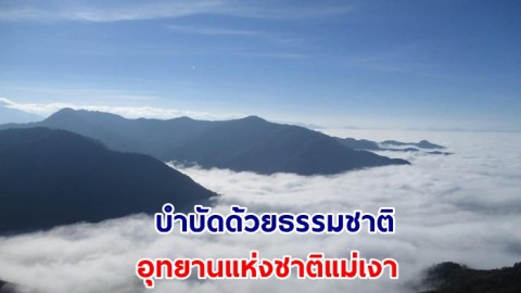 อย่างฟิน พาไปบำบัดด้วยธรรมชาติ ที่นี่บนดอย มีน้ำ มีปลา และมีหมอก ณ อุทยานแห่งชาติแม่เงา