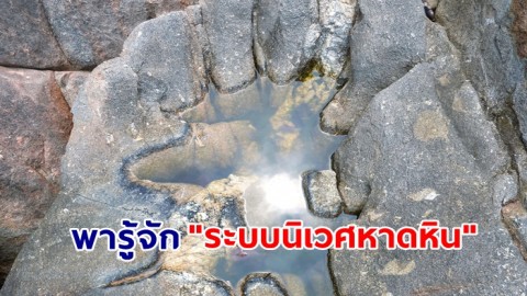 ทำความรู้จัก กับ "ระบบนิเวศหาดหิน" เป็นที่อยู่อาศัยของสิ่งมีชีวิตมากมาย และเป็นที่หลบภัยของสัตว์น้ำวัยอ่อนได้อย่างดี