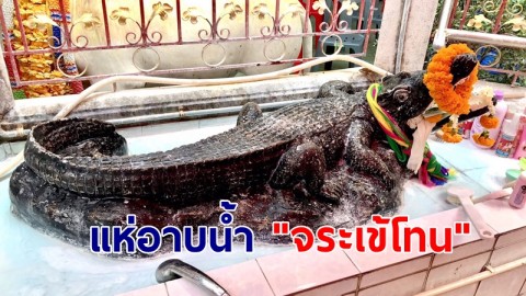 สายมูแห่อาบน้ำ "จระเข้โทน" เชื่อบันดาลโชคลาภ ปลดหนี้ การเงินคล่อง