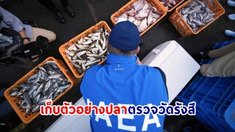 IAEA เก็บ "ตัวอย่างปลา" ในตลาดฟุกุชิมะตรวจวัดรังสี สร้างความเชื่อมั่นความปลอดภัย