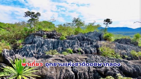 พาเที่ยว  ภูเขาหินปะการัง ทะยานเสียดฟ้า กลางเมืองแพร่ดินแดนล้านนา