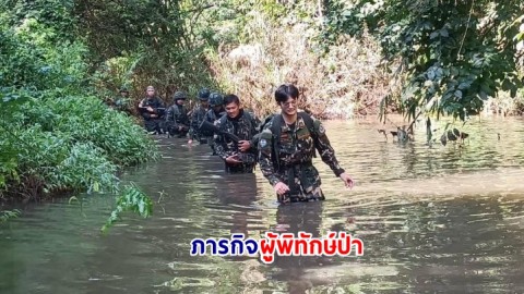 ภารกิจผู้พิทักษ์ป่า อุทยานแห่งชาติกุยบุรี จังหวัดประจวบคีรีขันธ์