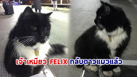 แห่อาลัย! "เจ้าเหมียว FELIX" แมวสถานีรถไฟเวสต์ยอร์กเชียร์ กลับดาวแมวแล้วในวัย 12 ปี