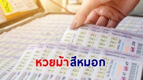 ส่องเลขเด็ด หวยม้าสีหมอก 16 ธันวาคม 2566