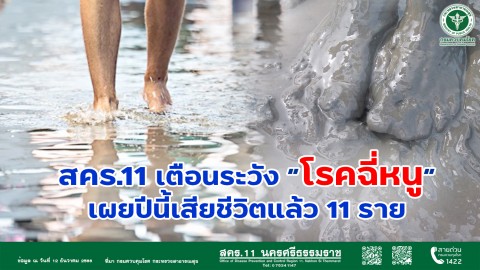 สคร.11 เตือนระวัง “โรคฉี่หนู” เผย ปีนี้เสียชีวิตแล้ว 11 ราย