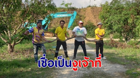 จงอางยักษ์ 4.2 เมตร บุกบ้านไร่ เชื่องูเจ้าที่