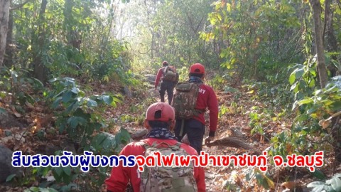 พล.ต.อ.พัชรวาทฯ สั่งอธิบดีอุทยานฯประสานทหารตำรวจ สืบสวนจับผู้บงการจุดไฟเผาป่าเขาชมภู่ จ.ชลบุรี