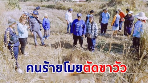 คนร้ายขโมยวัว ตัดขาหลัง ควักเครื่องใน-เหลือไว้เพียงส่วนหน้า