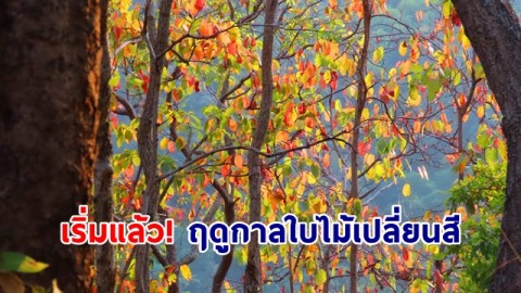 เริ่มแล้ว! ฤดูกาลใบไม้เปลี่ยนสีที่ อช.คลองลาน จ.กำแพงเพชร