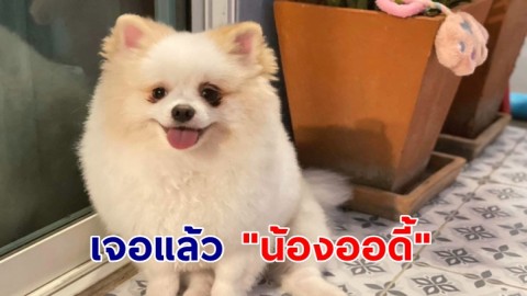 เจอแล้ว "น้องออดี้" สุนัขหาย ใครพบให้ 50,000 บาท ล่าสุดป้าใจดีนำมาคืน