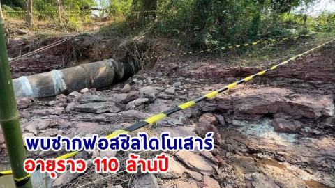 พบ "ซากฟอสซิลไดโนเสาร์" อายุราว 110 ล้านปี ในพื้นที่ อ.ลำน้ำพอง