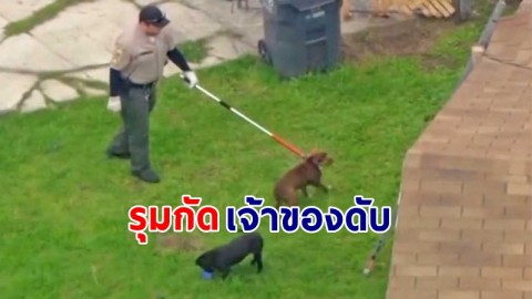 สลด ! "สุนัขพิตบูล" 13 ตัว รุมกัดเจ้าของเสียชีวิตคาบ้าน เพื่อนบ้านเห็นรีบแจ้งตำรวจ !
