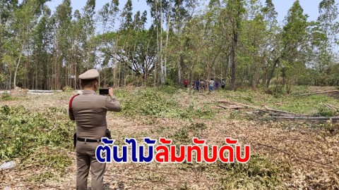 สลดชายวัย 56 ถูกต้นไม้ล้มทับดับสยอง