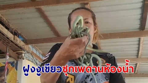 หนุ่มสงสัย เสียงดังบนฝ้า คว้าไฟฉายส่องพบ ฝูงงูเขียว แจ้งกู้ภัยช่วยจับ