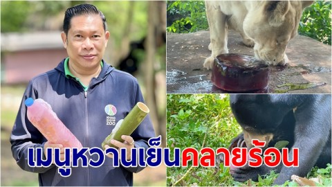 ชลบุรีร้อนระอุ สวนสัตว์เปิดเขาเขียว จัดเมนู "หวานเย็นขาหมูแช่แข็ง" ให้สัตว์คลายร้อนลดเครียด