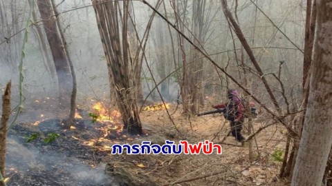ภารกิจดับไฟป่า สบอ.14 (ตาก) ดับไฟป่า 2จุด พบป่าเสียหายรวม 60 ไร่