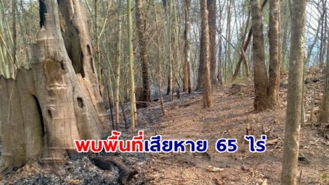 ภารกิจดับไฟป่า เจ้าหน้าที่ไฟป่าถ้ำผาไท รวมพลังดับไฟป่าเร็จ พบพื้นที่เสียหาย 65 ไร่