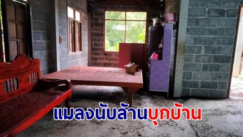 ชาวบ้านสุดทน! แมลงปีกแข็งนับล้านตัว บุกยึดบ้านพักอาศัย วอนช่วยเหลือ